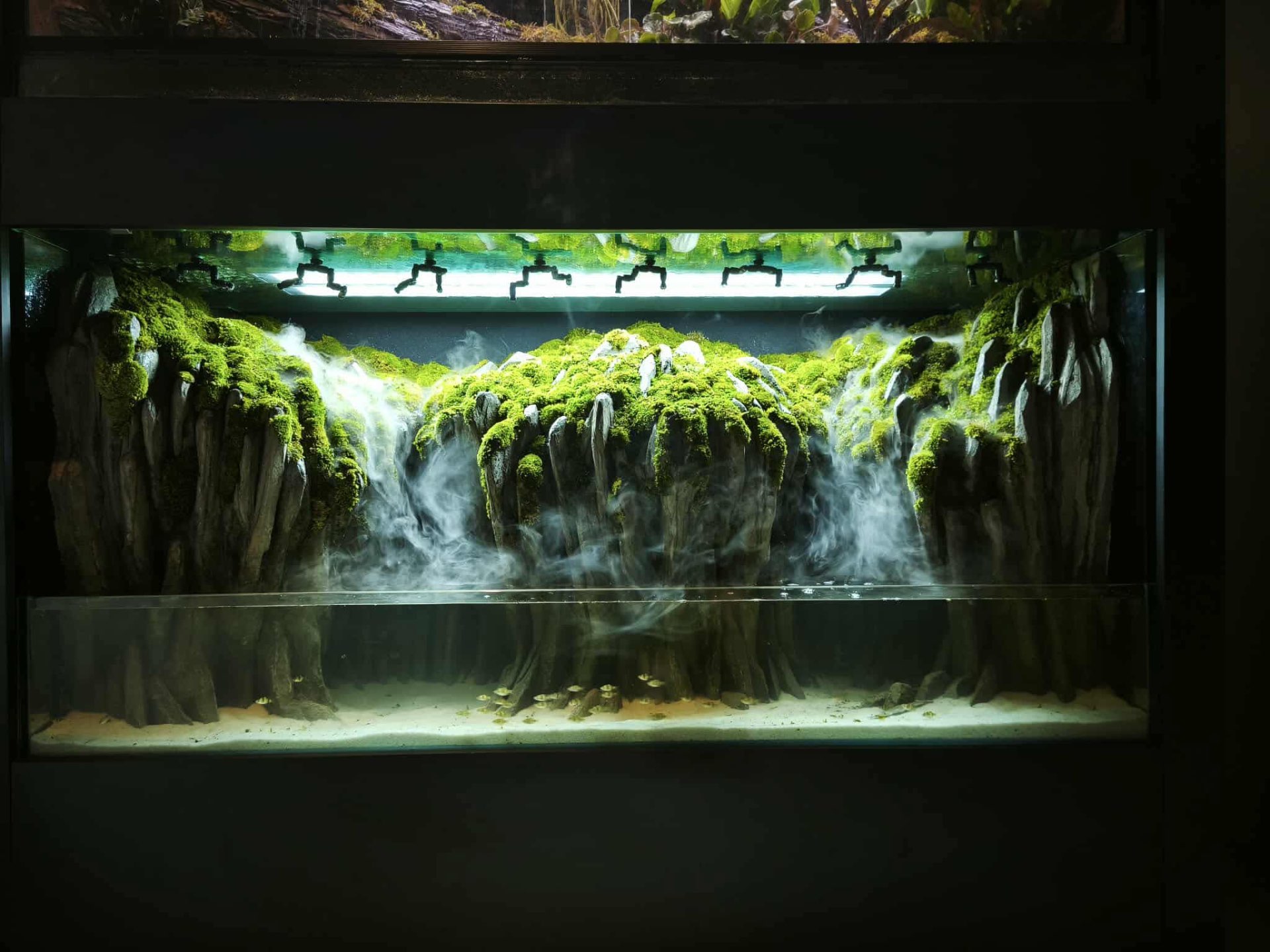 Paludarium