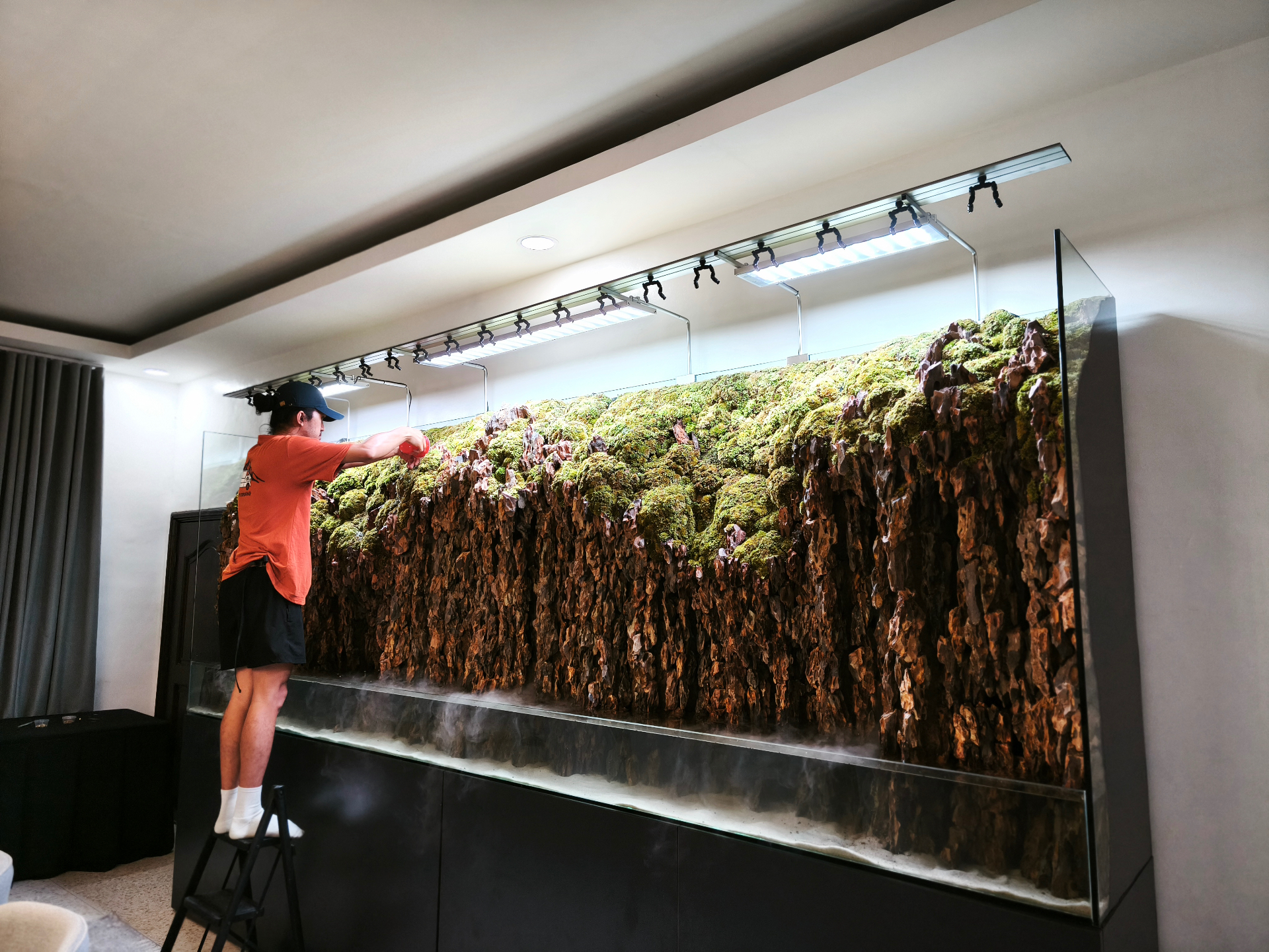 Paludarium detail 4