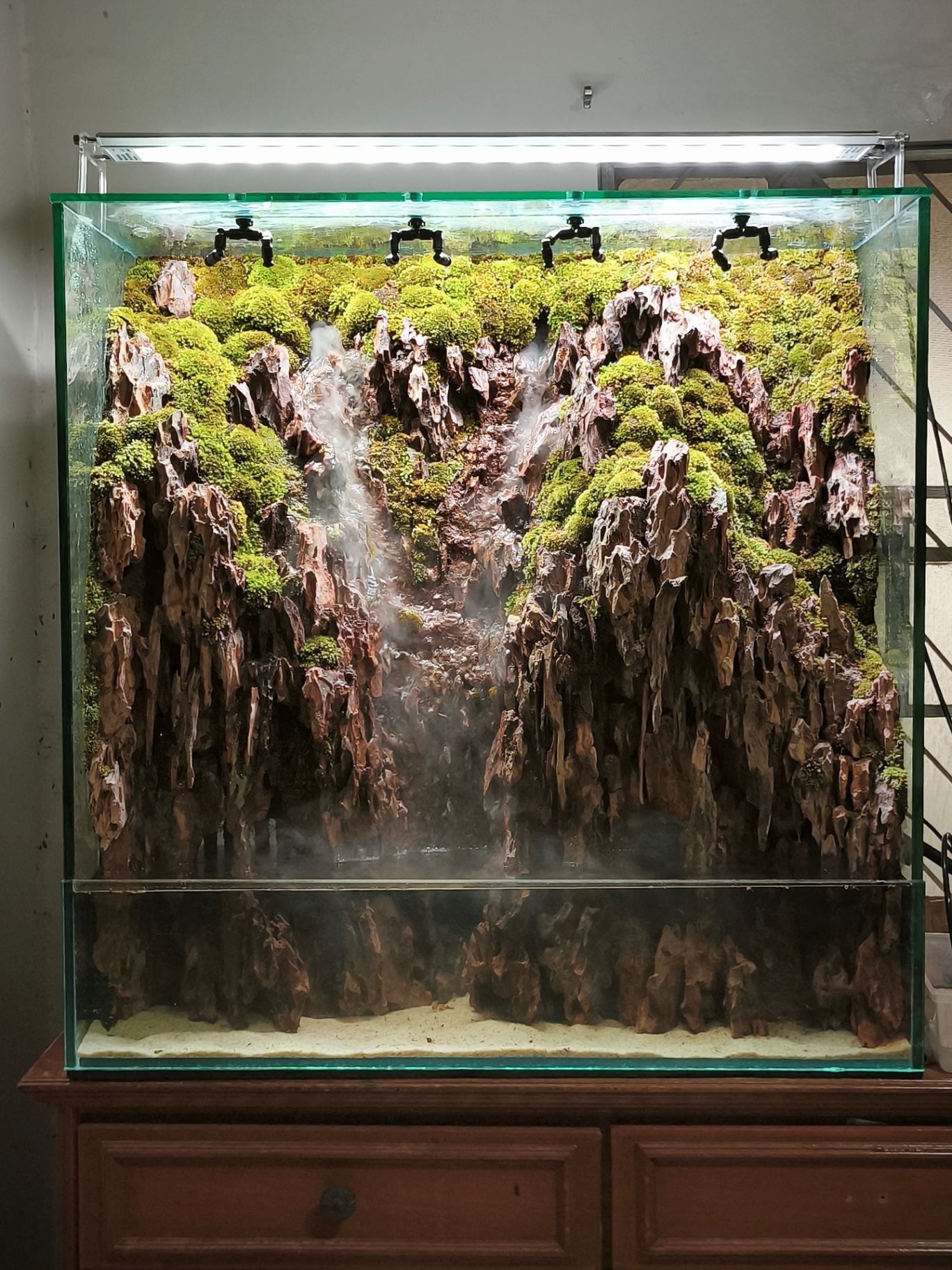 Paludarium detail 7